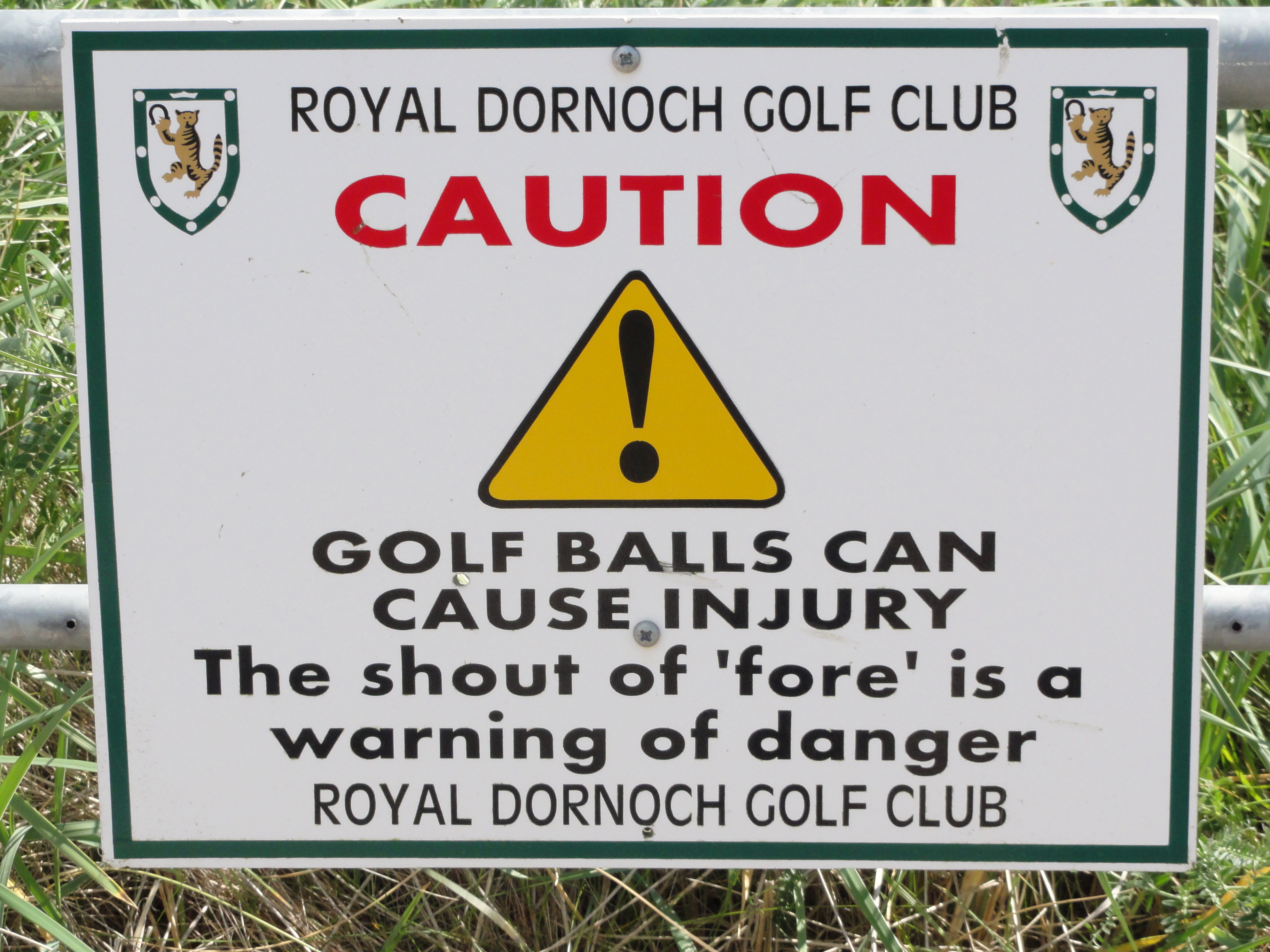 golf balls can cause injury