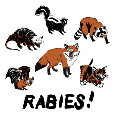 rabies1