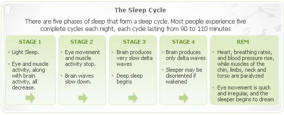sleep_cycle_graph_1