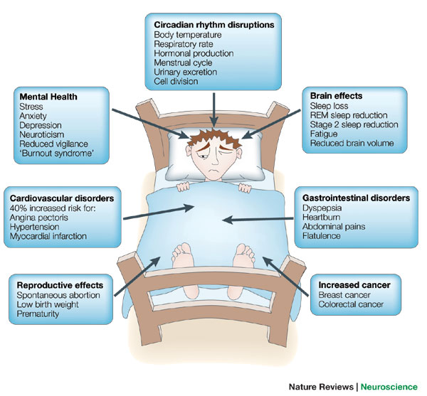 Night Shift Work, Fatigue, Poor Sleep, and Cardiovascular Health – STAT  MedEvac