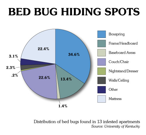 bed-bugs-chart