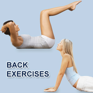 lower-back-exercise