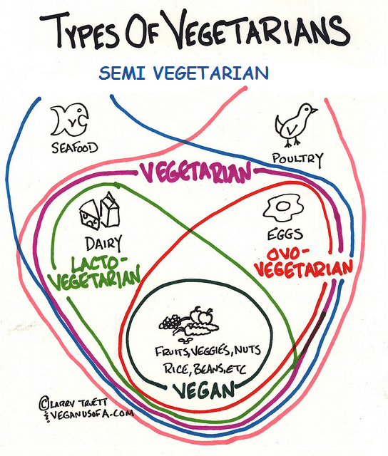 Vegetariantypes