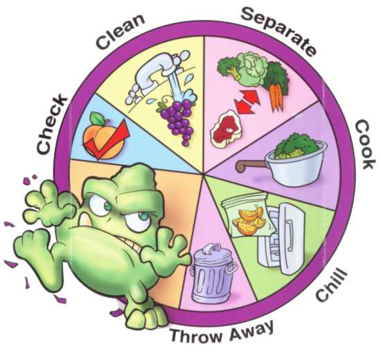 Food-Safety Foodborne Illness