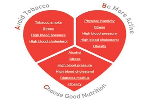 Cholesterol-Education-Month-480x330