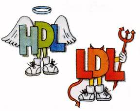 cholesterol hdl ldl