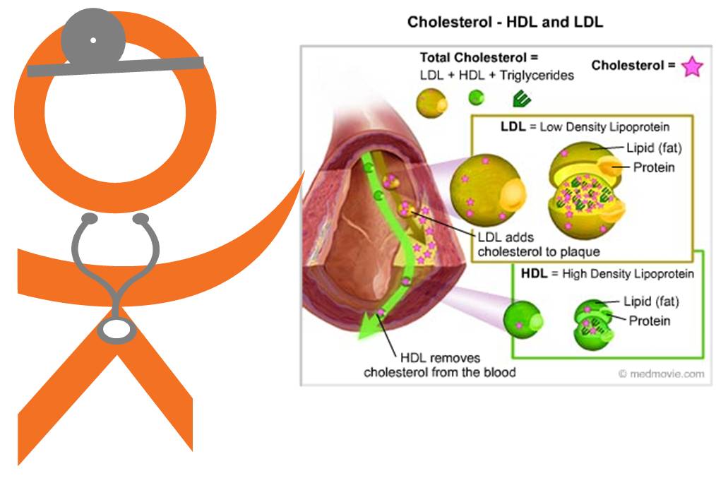 cholesterol types