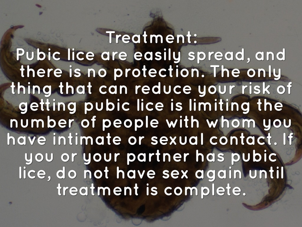 Straight No Chaser Stds Treatment Of Pubic Lice Crabs Jeffrey 1539