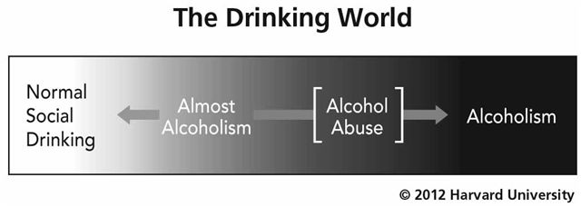AlcoholicGrayscaleDiagram2