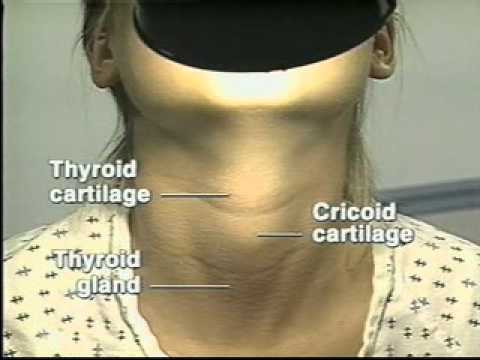 thyroid self exam