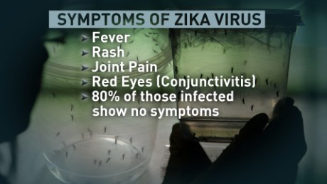 zika symptoms