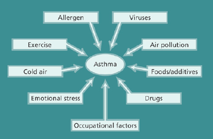 asthmatriggers