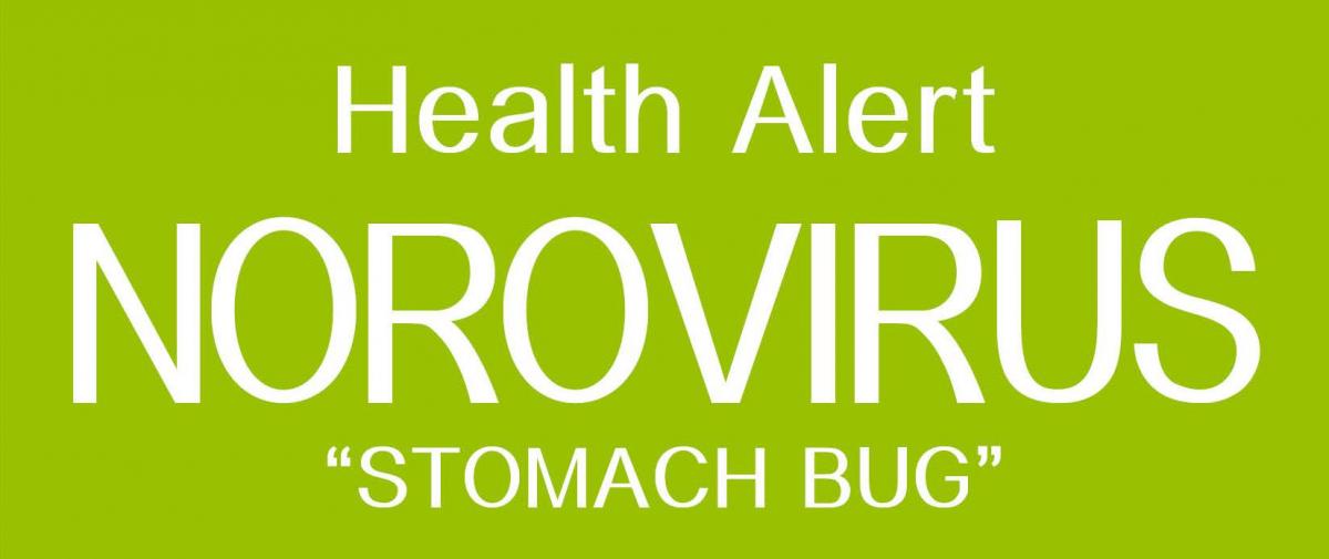 norovirus-stomach-flu3